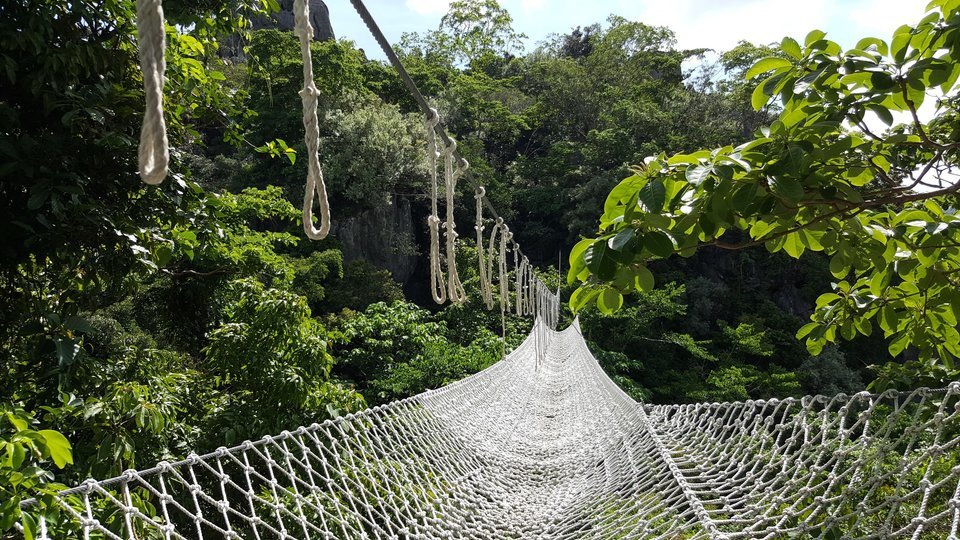 safety net bridge that represents security when hedging forex