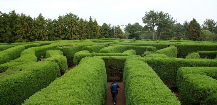 picture of a maze that reflects the complexities of currency market exchange 